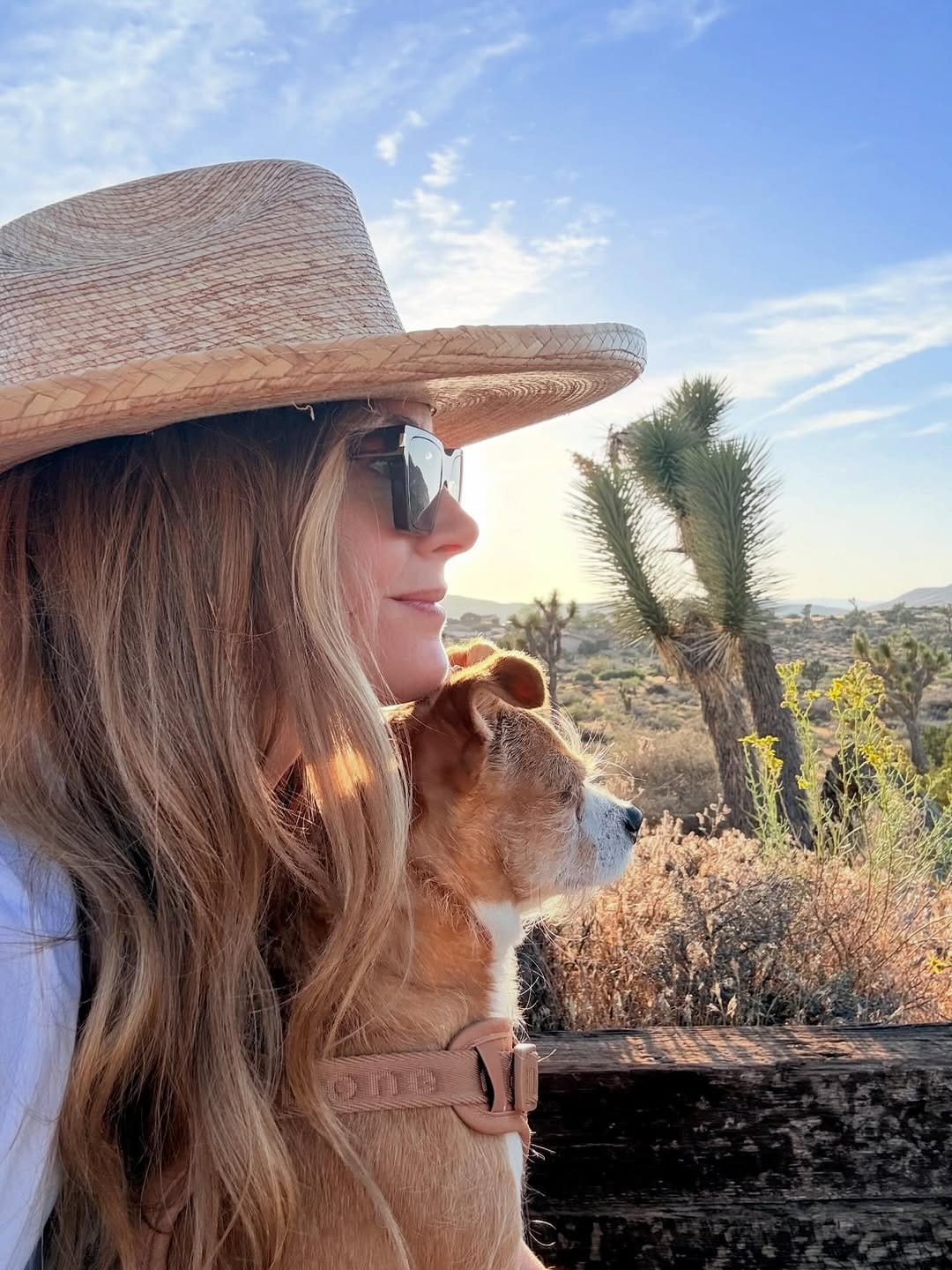 Post 3 by Maggie Lawson on Instagram (image)