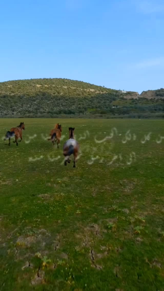 Post 8 by Tasnime Labiedh on Instagram (video)