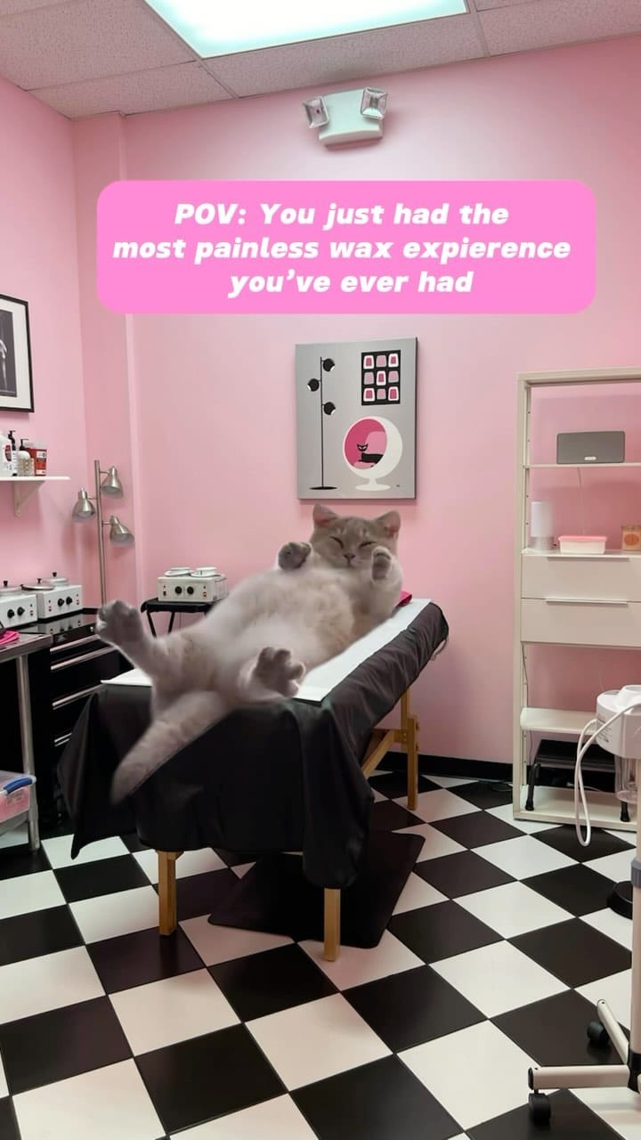 Post 10 by Bombshell Beauty Lounge: Wax, Tan, Skincare on Instagram (video)