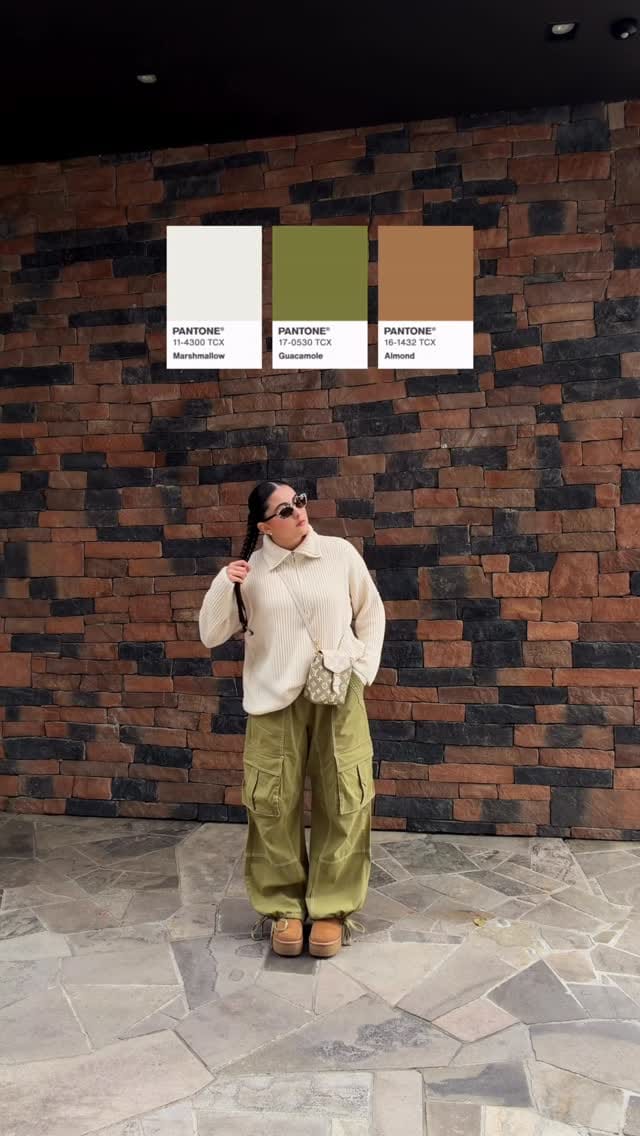 Post 1 by ANA LIA CARNEIRO BETTIOL on Instagram (video)