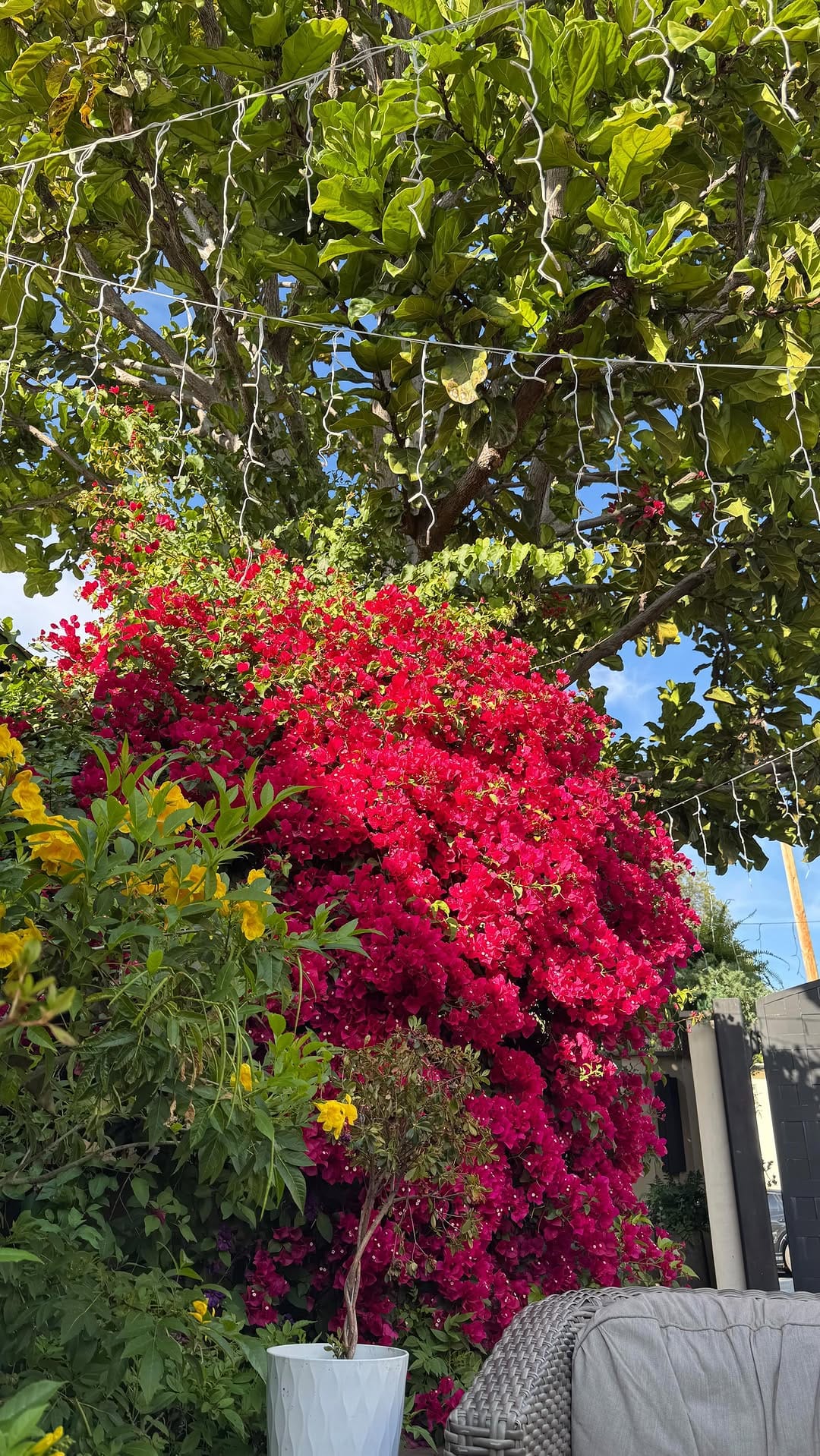 Post 8 by Natalia Trevino Amaro on Instagram (video)