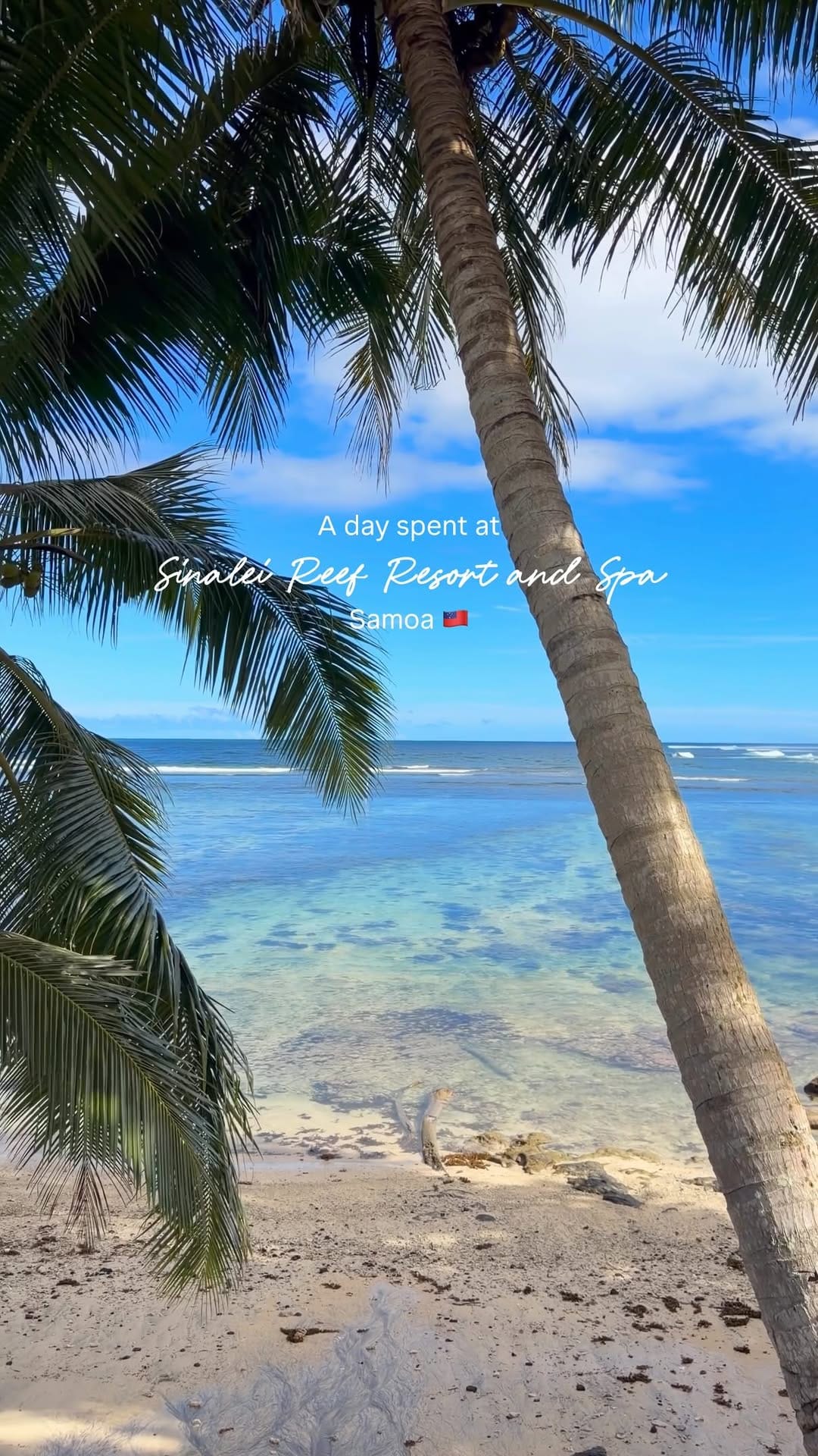 Post 4 by Larissa Cancado - New Zealand on Instagram (video)
