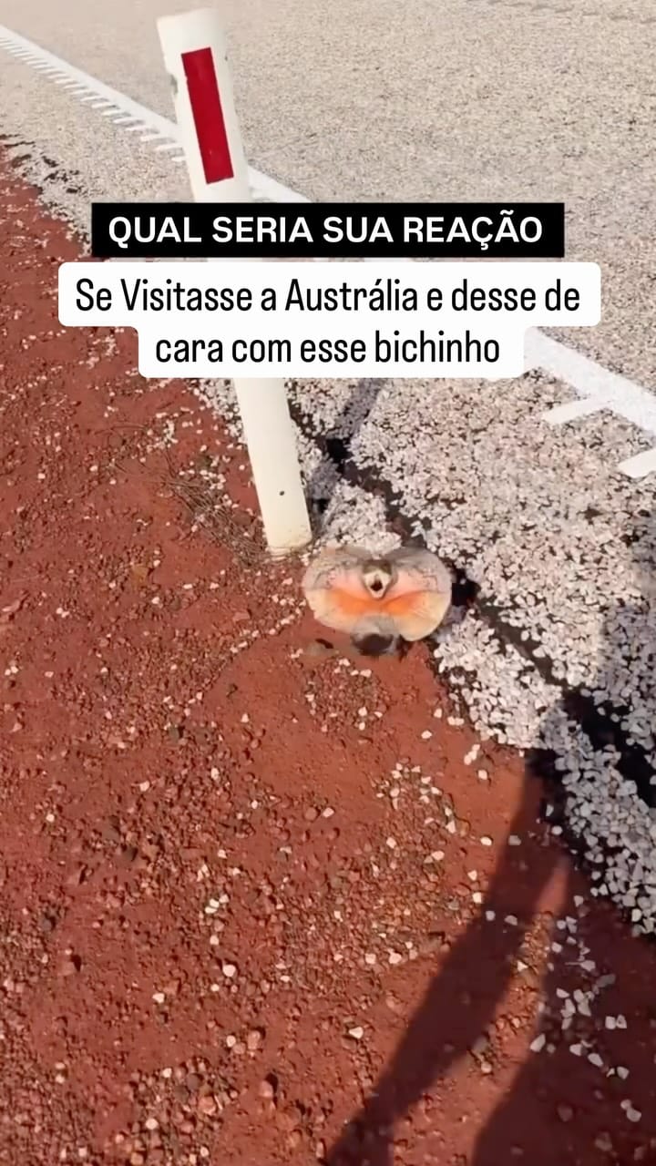 Post 7 by Paixão Por Viajar on Instagram (video)