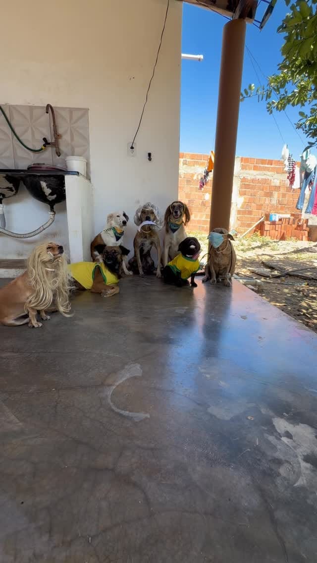 Post 5 by Larissa Rodrigues on Instagram (video)