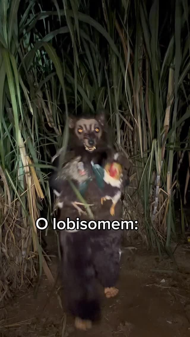 Post 2 by Larissa Rodrigues on Instagram (video)