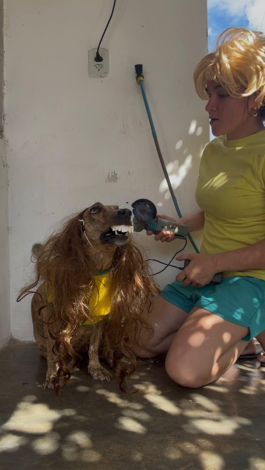 Post 8 by Larissa Rodrigues on Instagram (video)