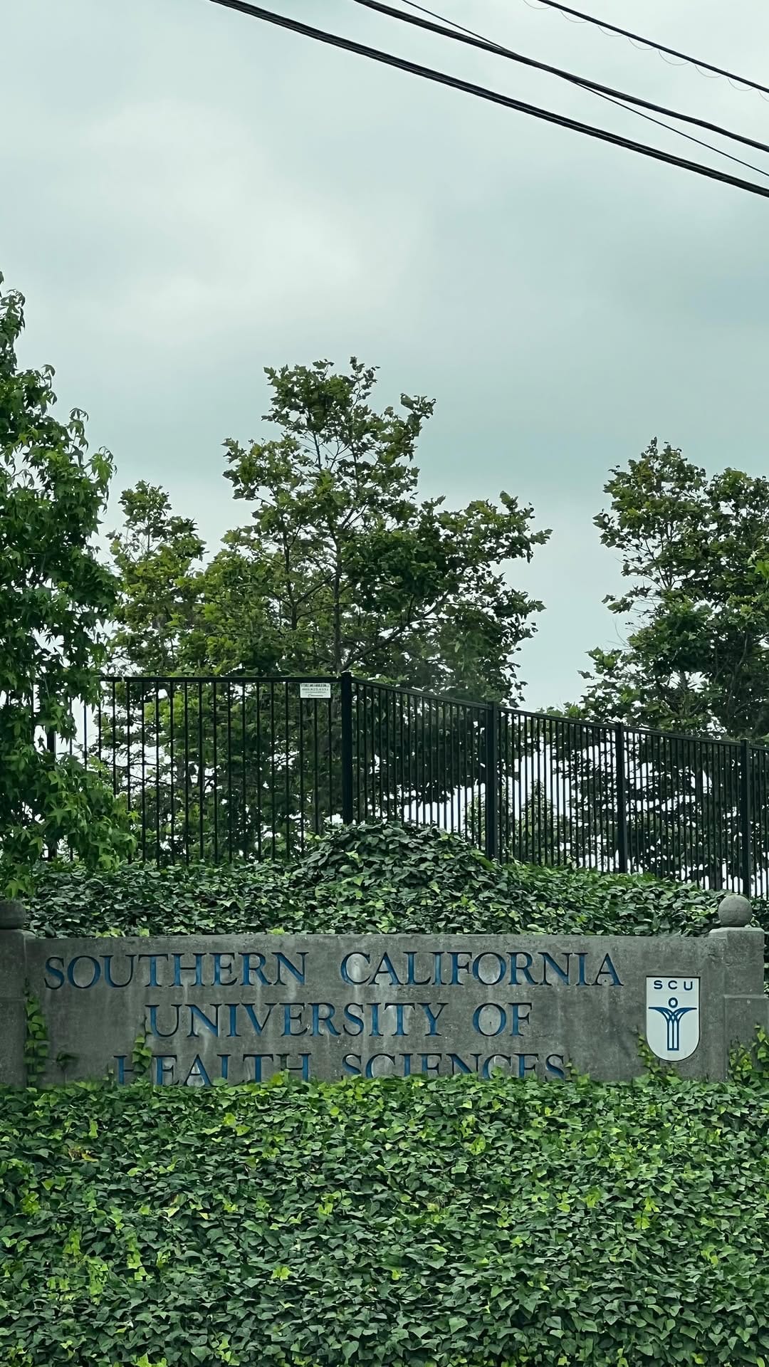 Post 10 by Dr. Devan Doyle, DC on Instagram (video)