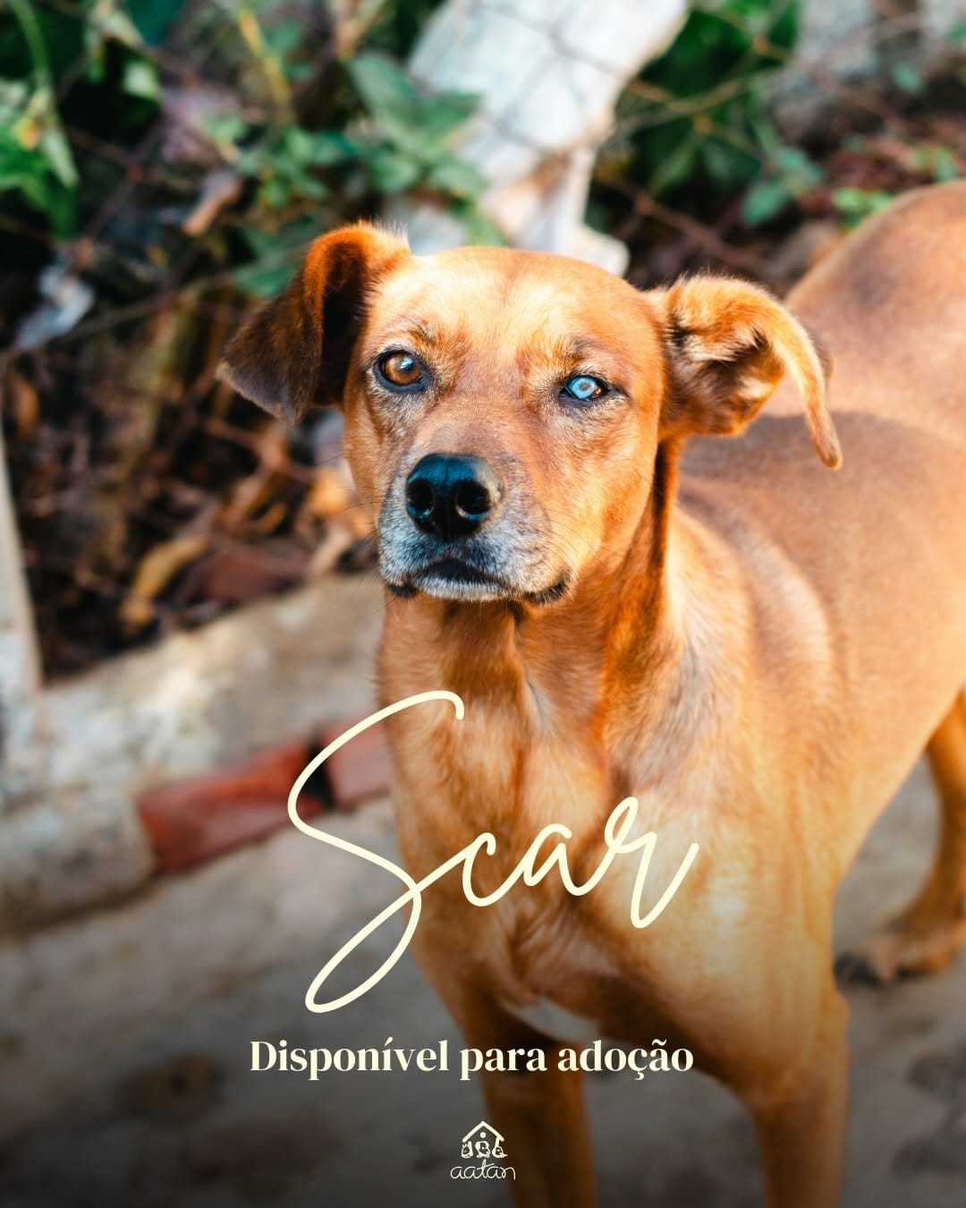 Post 6 by AATAN Sorocaba on Instagram (carousel)