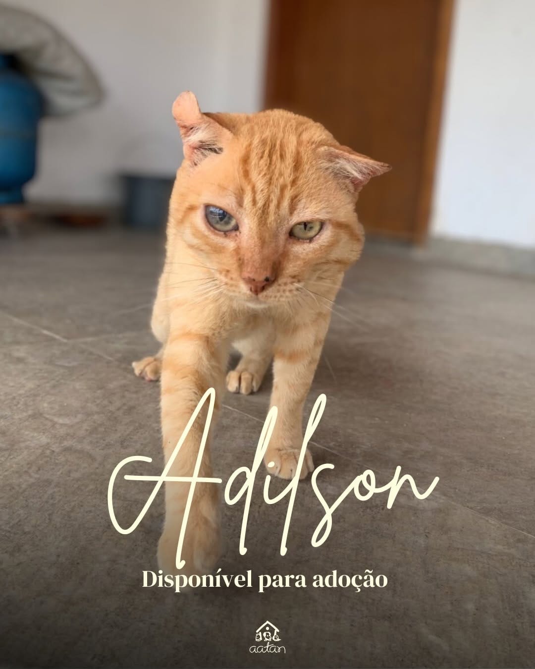 Post 5 by AATAN Sorocaba on Instagram (carousel)