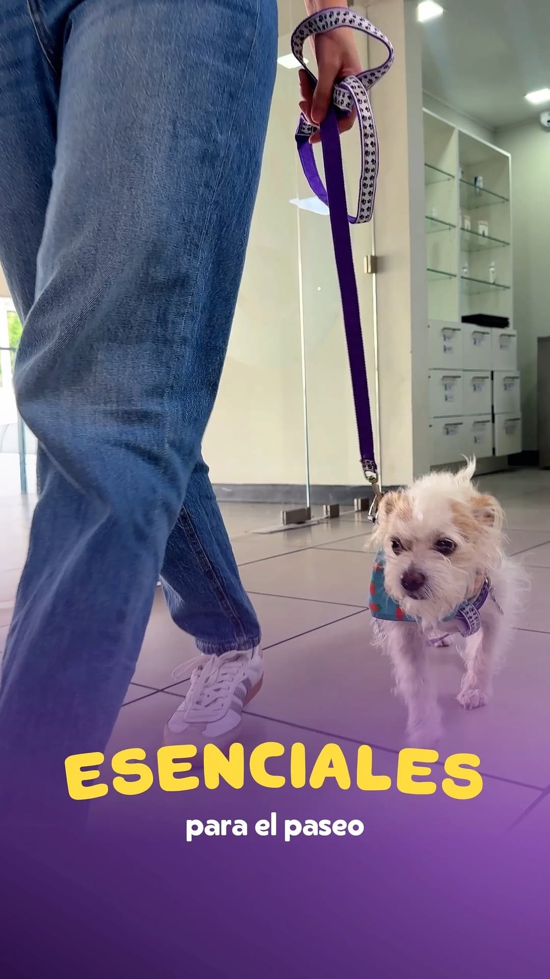 Post 6 by TuVet El Salvador on Instagram (video)