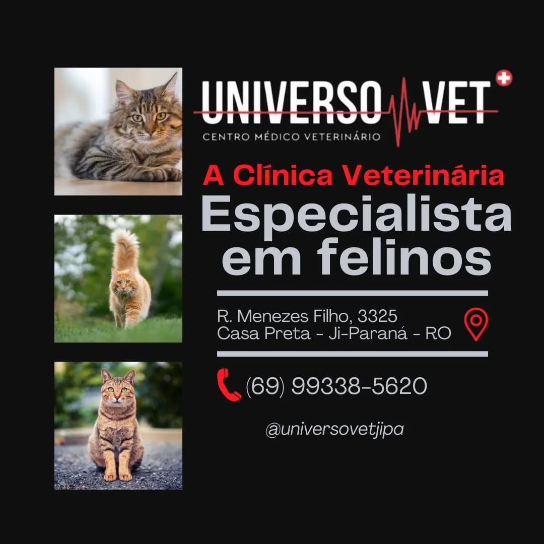 Post 9 by Universo Vet on Instagram (image)