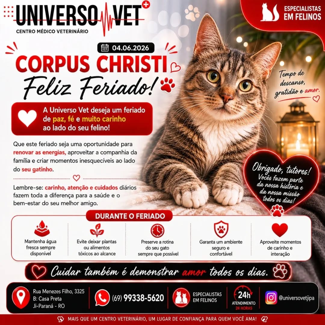 Post 2 by Universo Vet on Instagram (image)