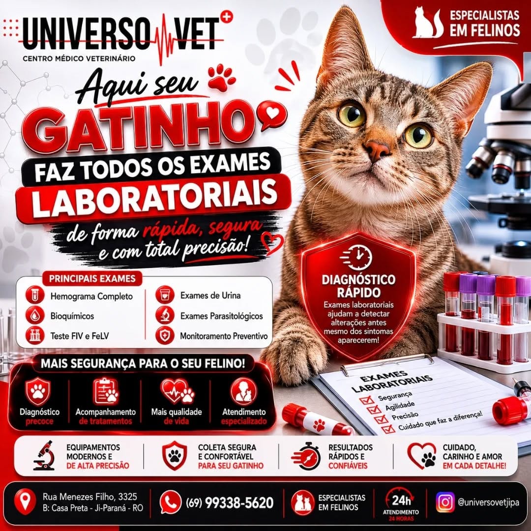 Post 4 by Universo Vet on Instagram (image)