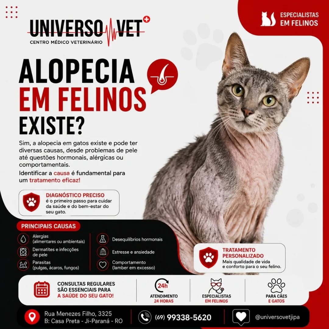 Post 6 by Universo Vet on Instagram (image)
