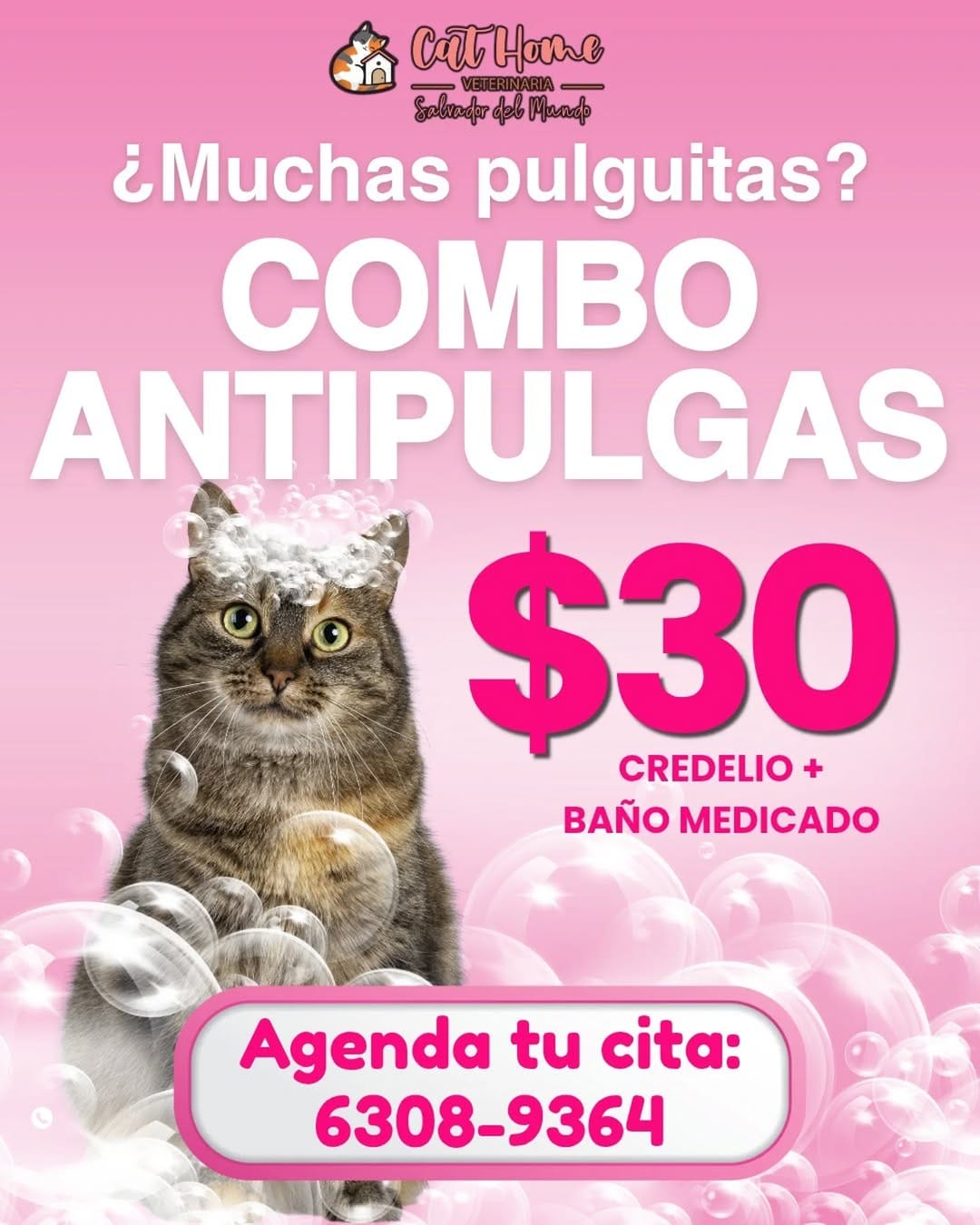 Post 8 by Clinicat Veterinaria CatHome on Instagram (image)