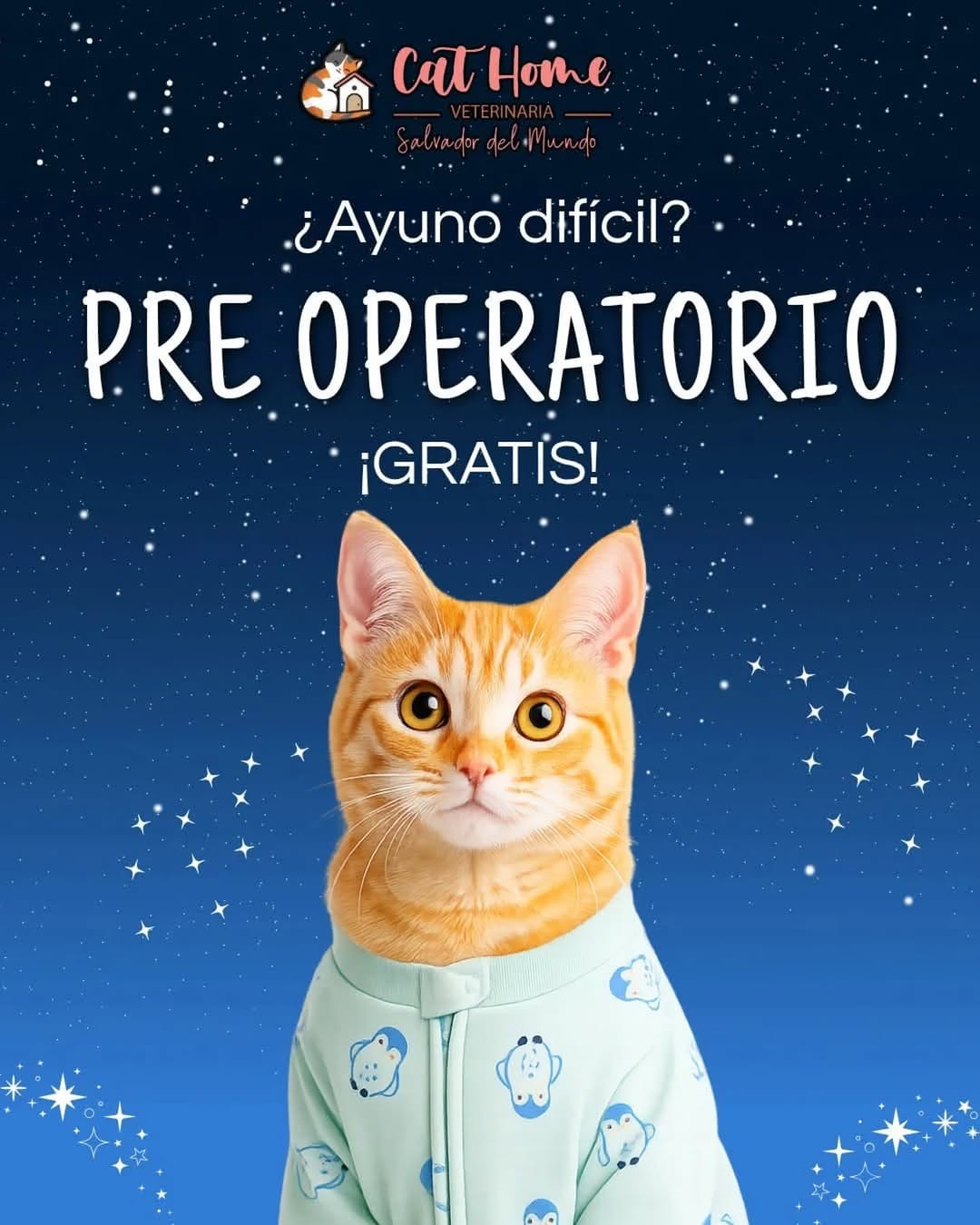 Post 9 by Clinicat Veterinaria CatHome on Instagram (image)
