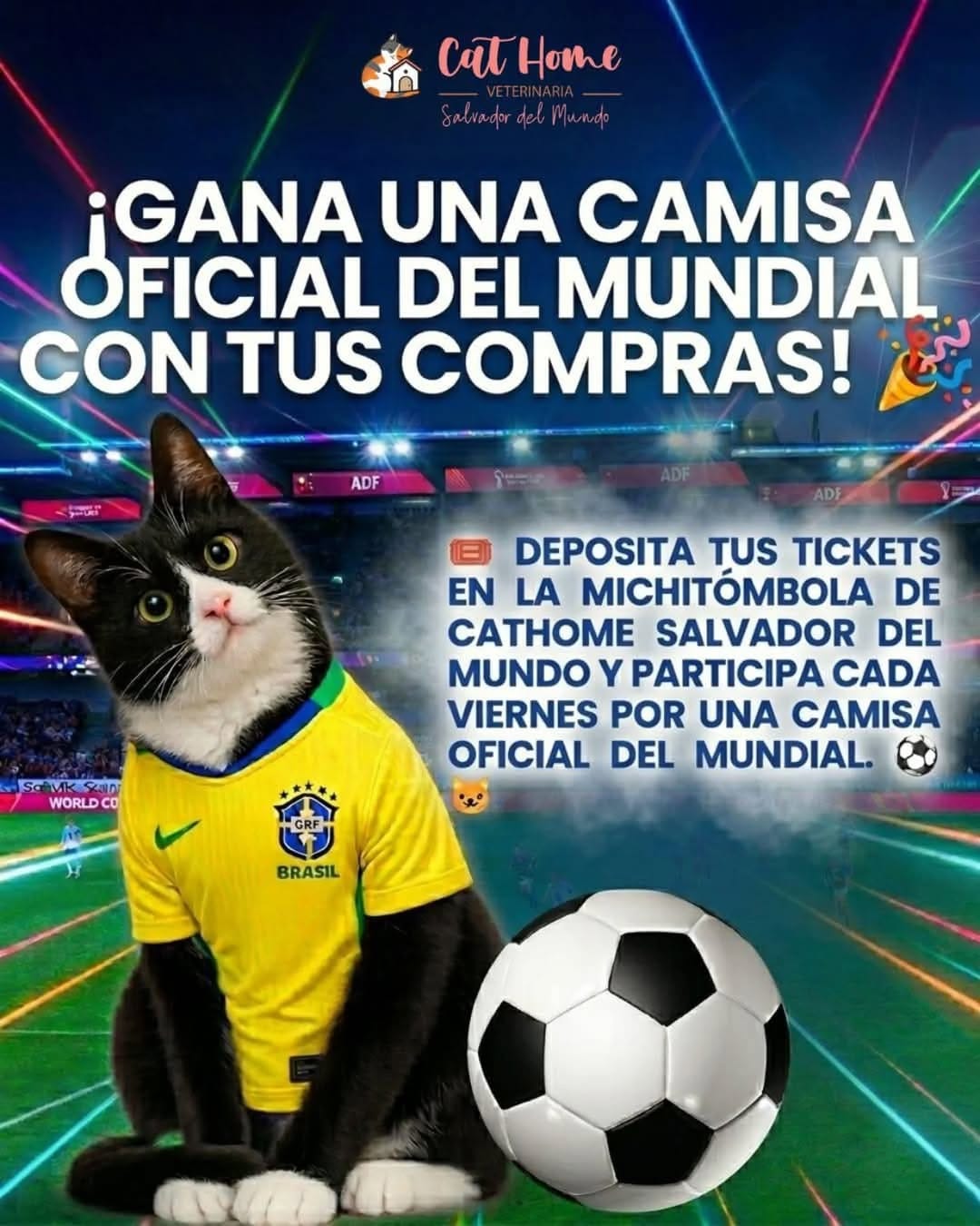 Post 7 by Clinicat Veterinaria CatHome on Instagram (image)