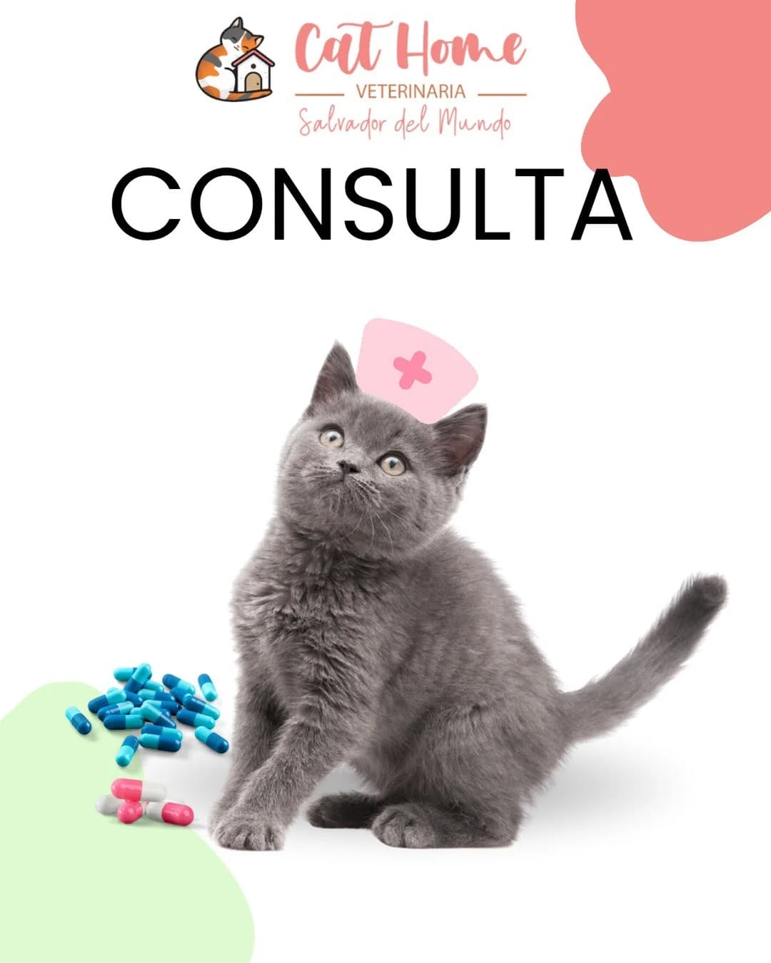 Post 6 by Clinicat Veterinaria CatHome on Instagram (image)