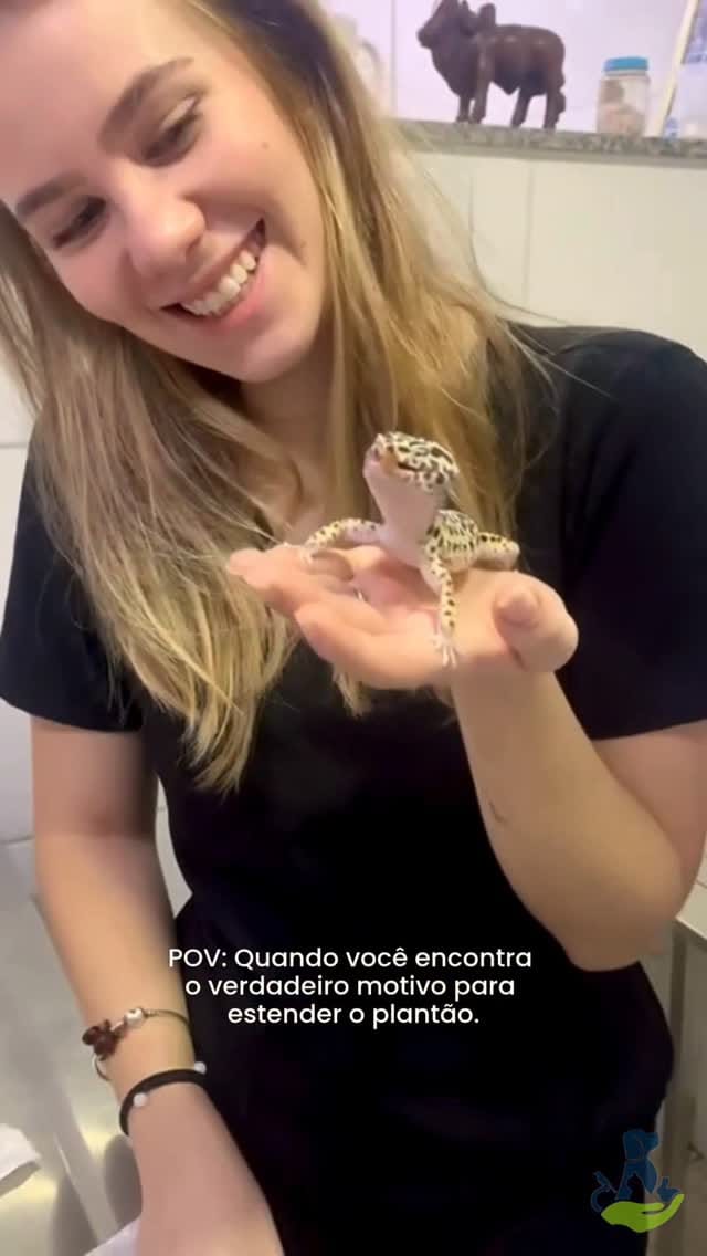 Post 3 by Preserve Veterinária on Instagram (video)