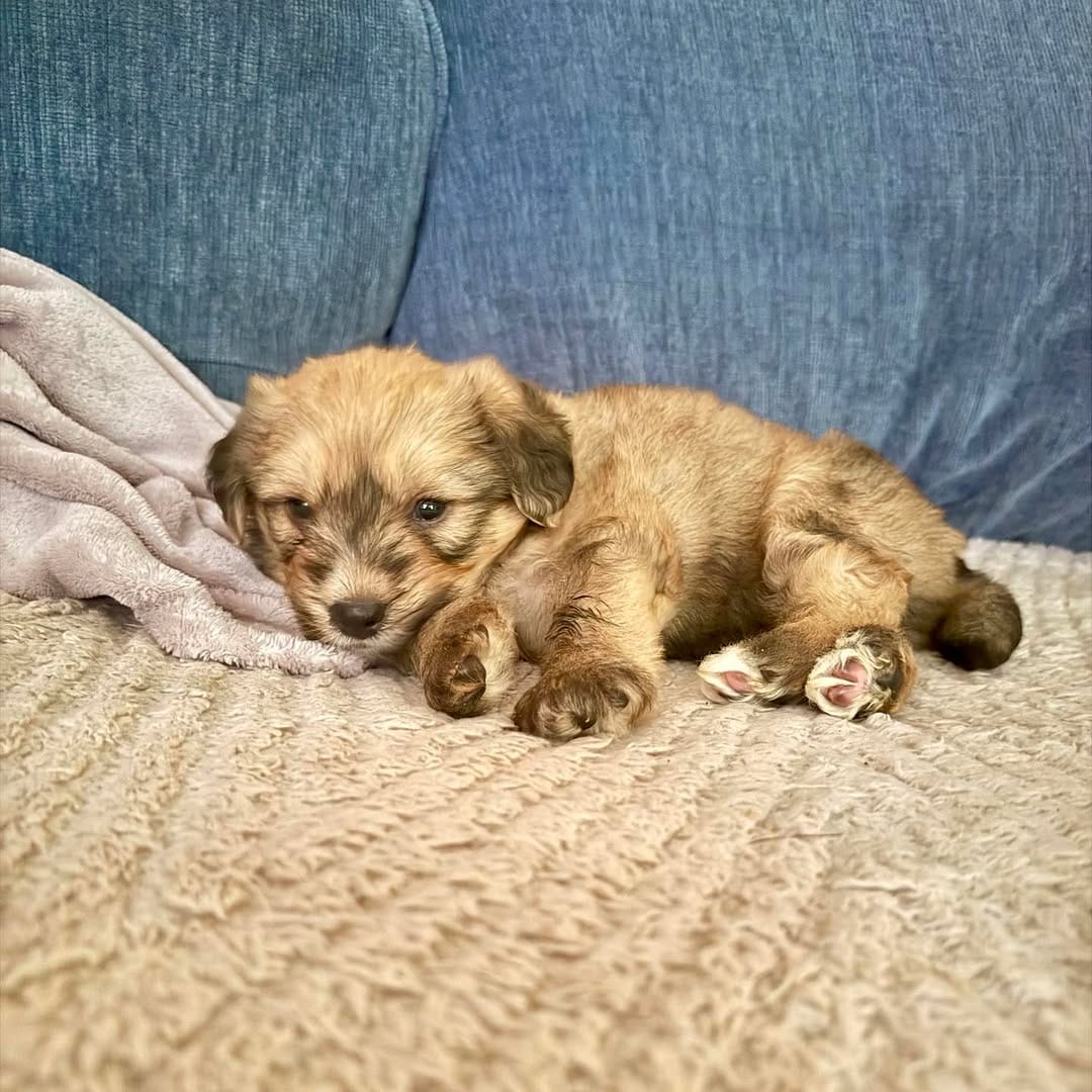 Post 5 by Bosley's Place on Instagram (carousel)