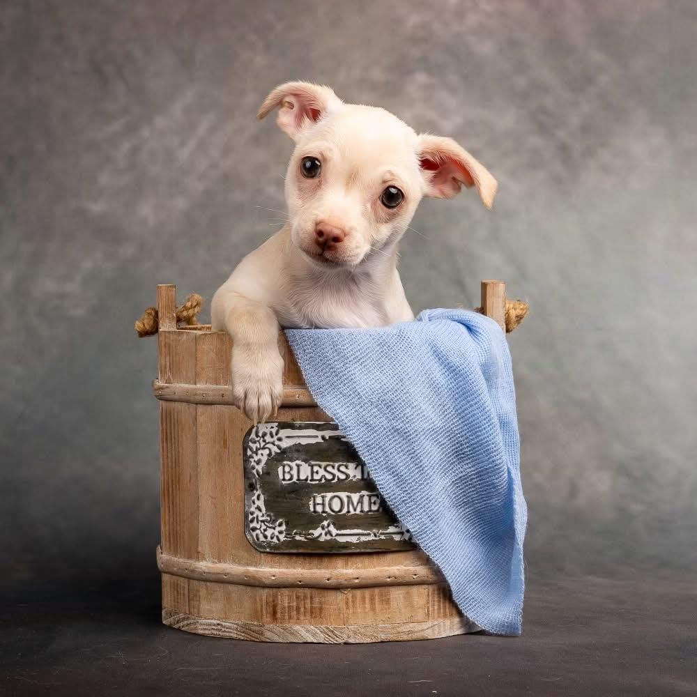 Post 10 by Bosley's Place on Instagram (carousel)
