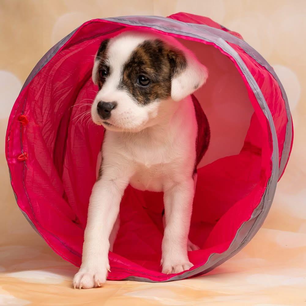 Post 8 by Bosley's Place on Instagram (carousel)