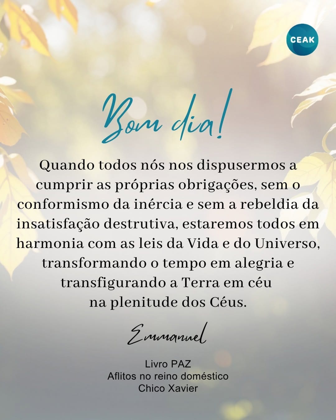 Post 3 by CEAK Campinas on Instagram (image)