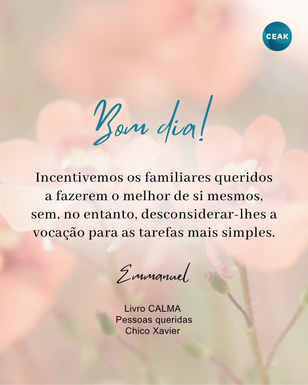 Post 9 by CEAK Campinas on Instagram (image)