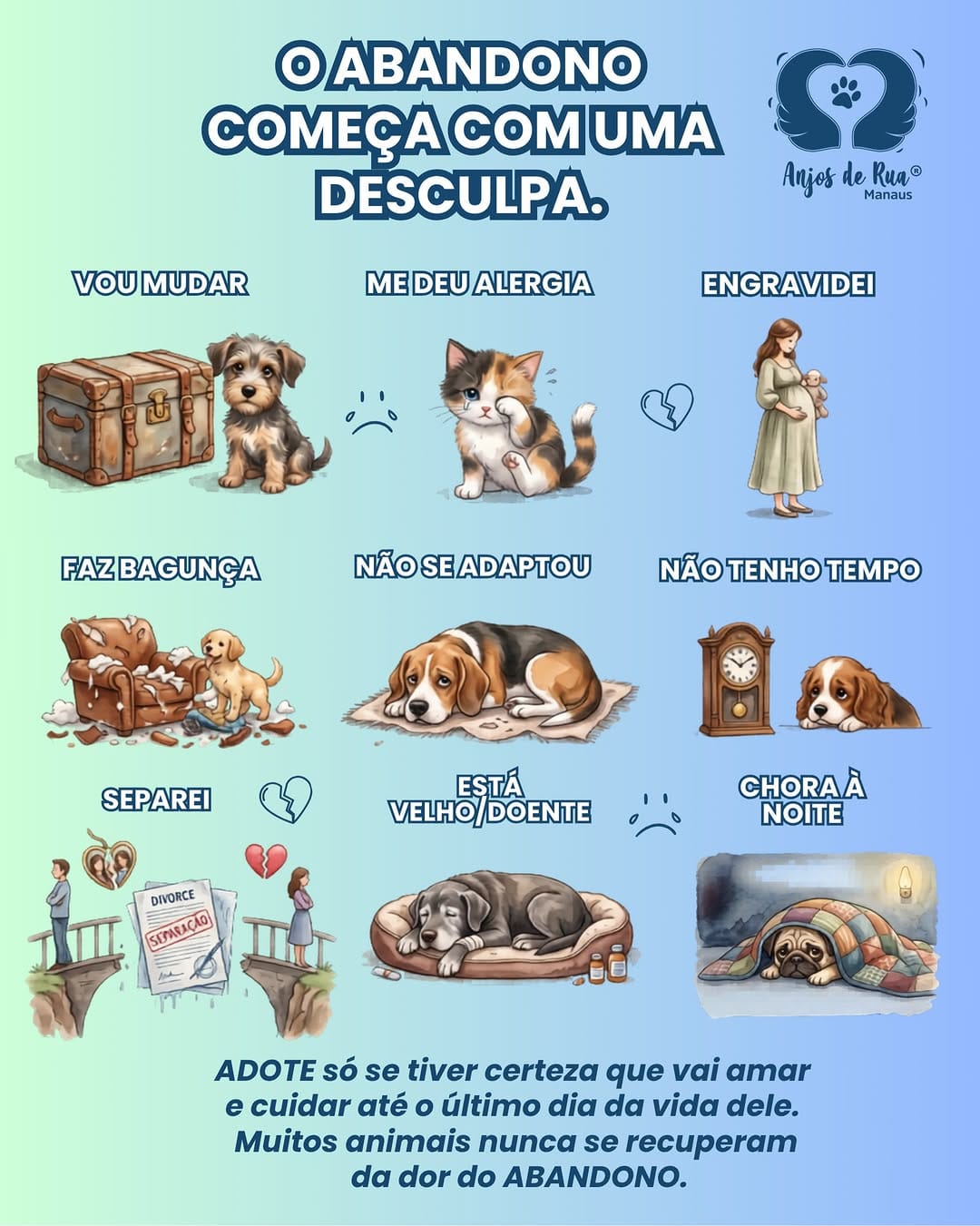 Post 9 by Anjos de Rua Manaus | Castração on Instagram (image)