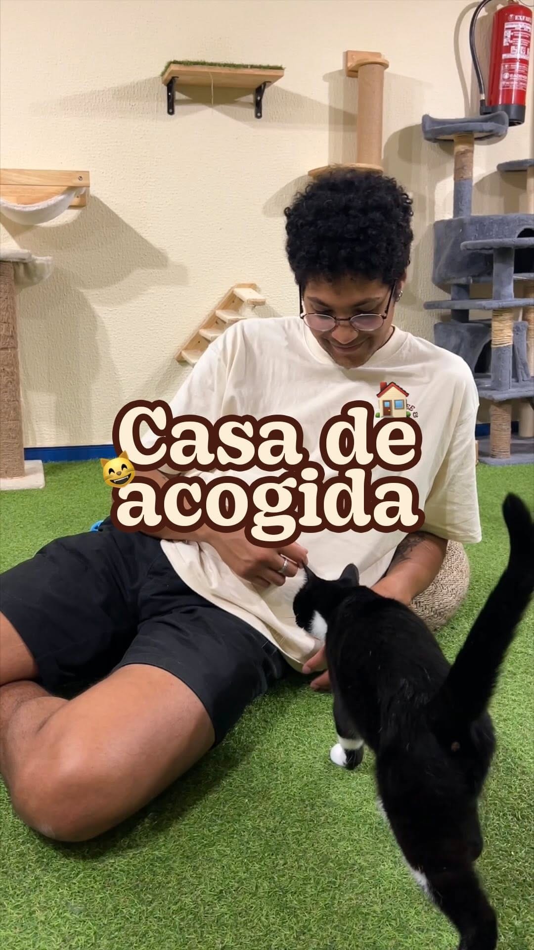 Post 9 by CATFÉ | Coffee & Cats on Instagram (video)