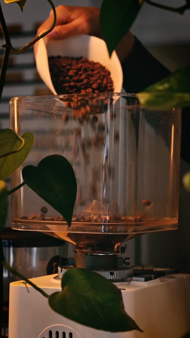 Post 4 by Drømme Kaffe House on Instagram (video)