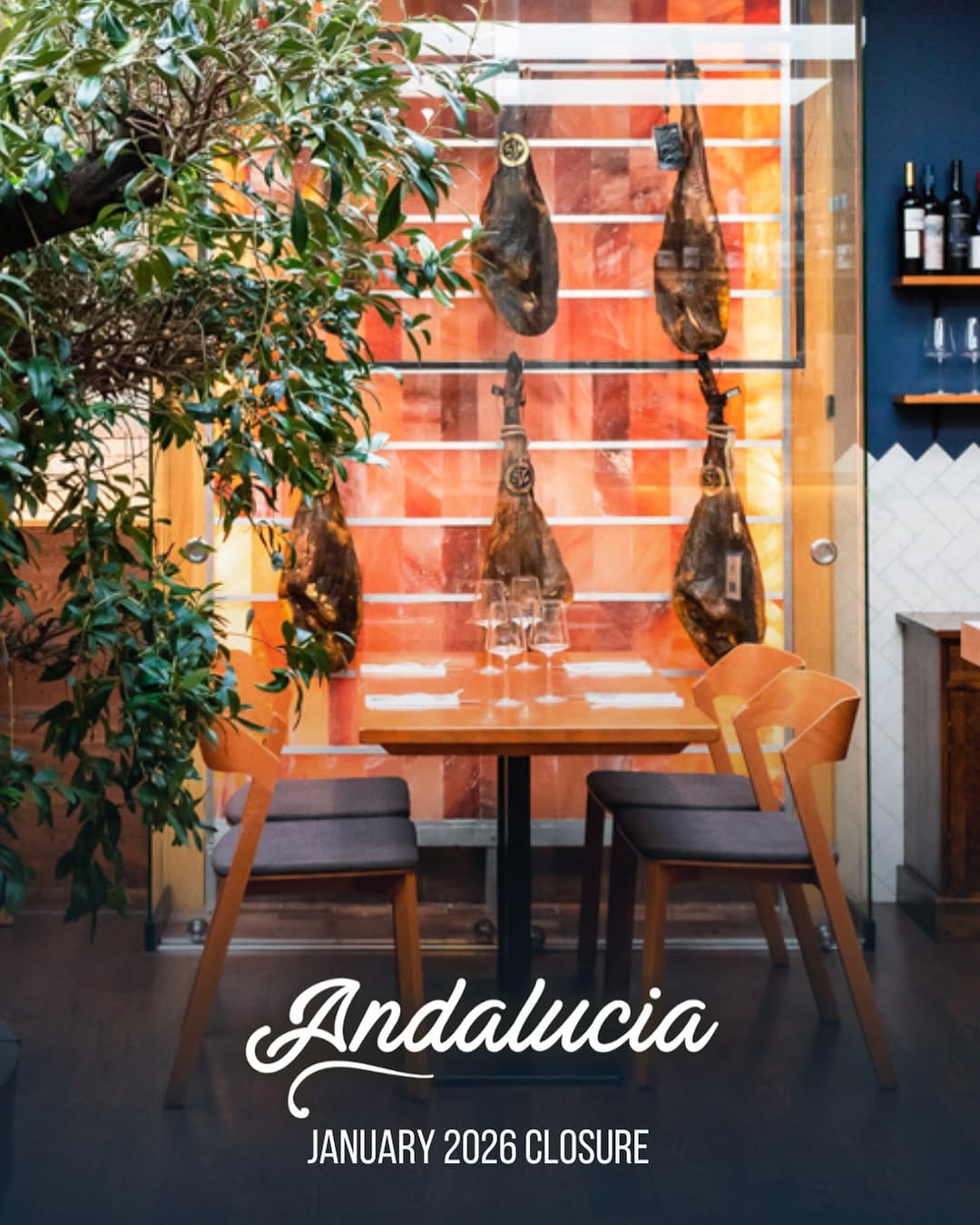 Post 5 by Andalucia Tapas & Wine Bar on Instagram (image)
