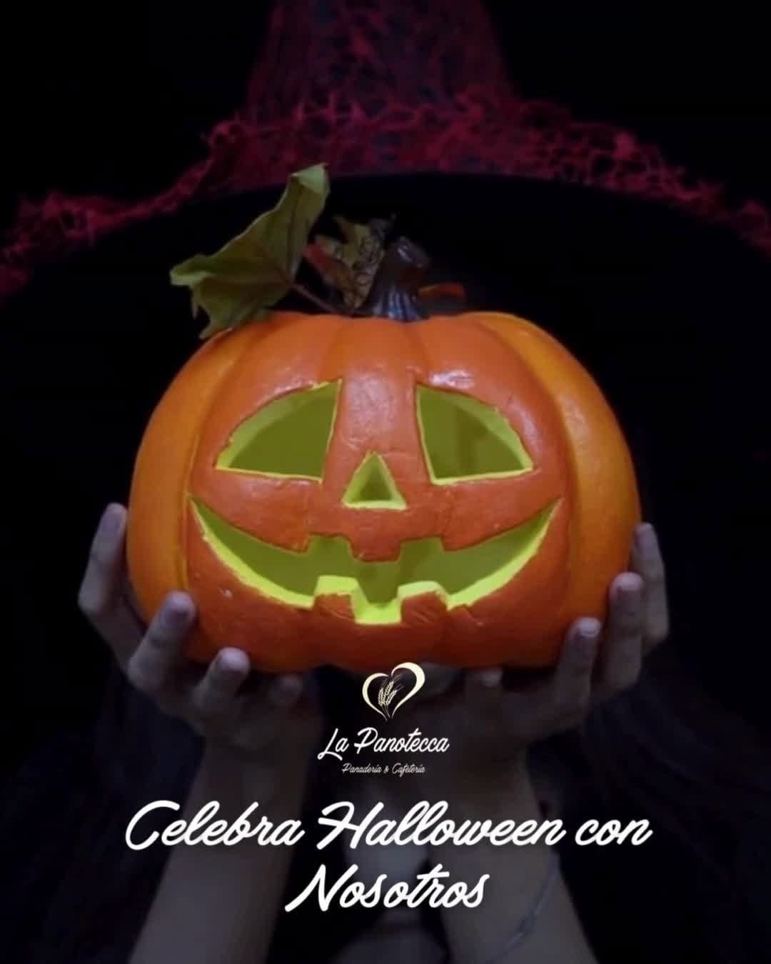 Post 7 by La Panotecca on Instagram (video)