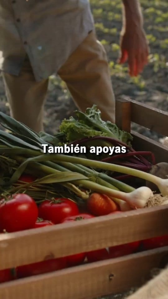 Post 8 by PINALE | Brunch & Bowls Madrid on Instagram (video)