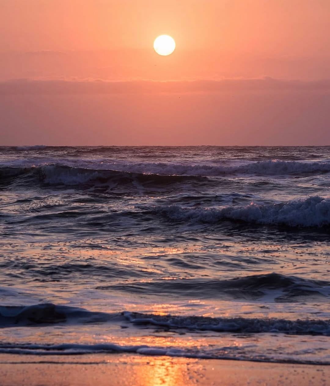 Post 7 by Pedro Berner on Instagram (image)