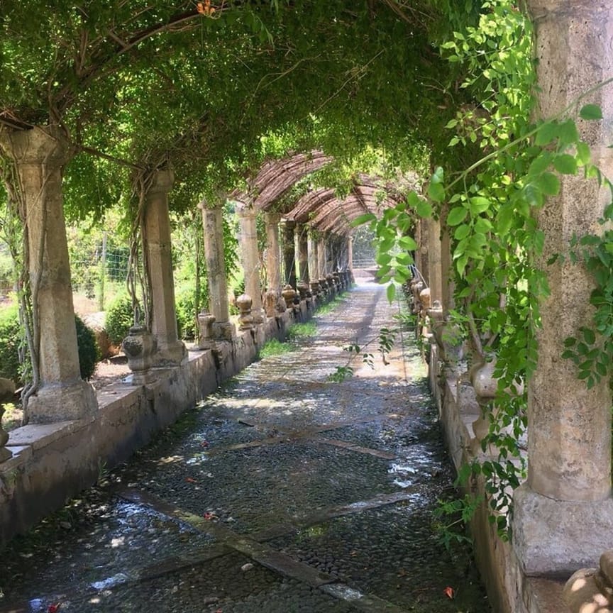 Post 2 by Yes! Mallorca Property on Instagram (image)