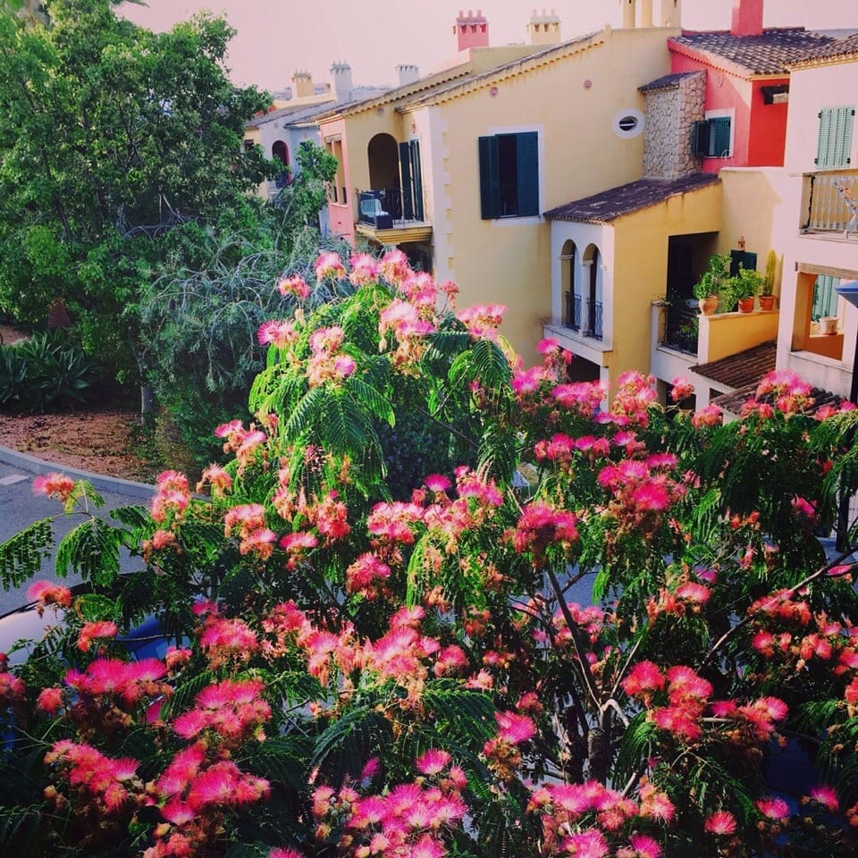 Post 4 by Yes! Mallorca Property on Instagram (image)