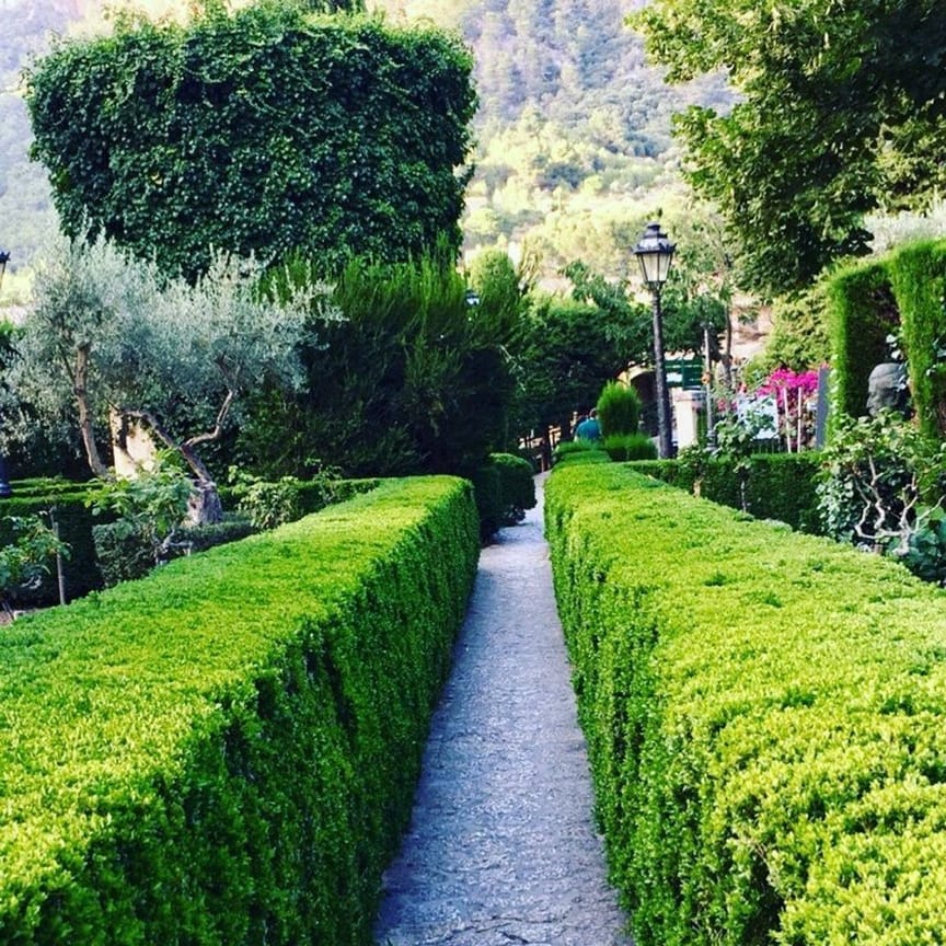 Post 8 by Yes! Mallorca Property on Instagram (image)