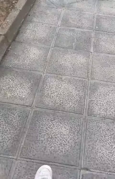 Post 8 by Borja Jiménez on Instagram (video)