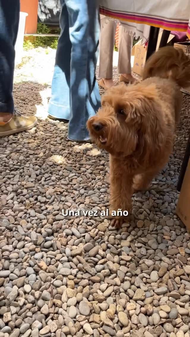 Post 4 by Market Solidario on Instagram (video)