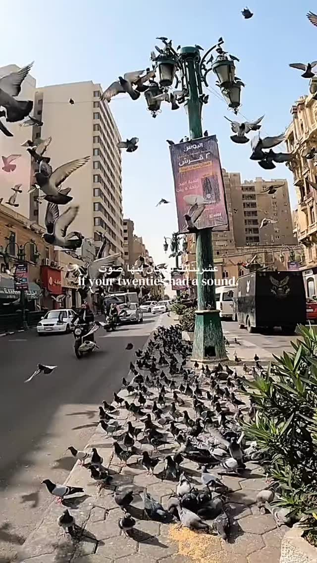 Post 3 by Mustafa Elsherbiiny on Instagram (video)