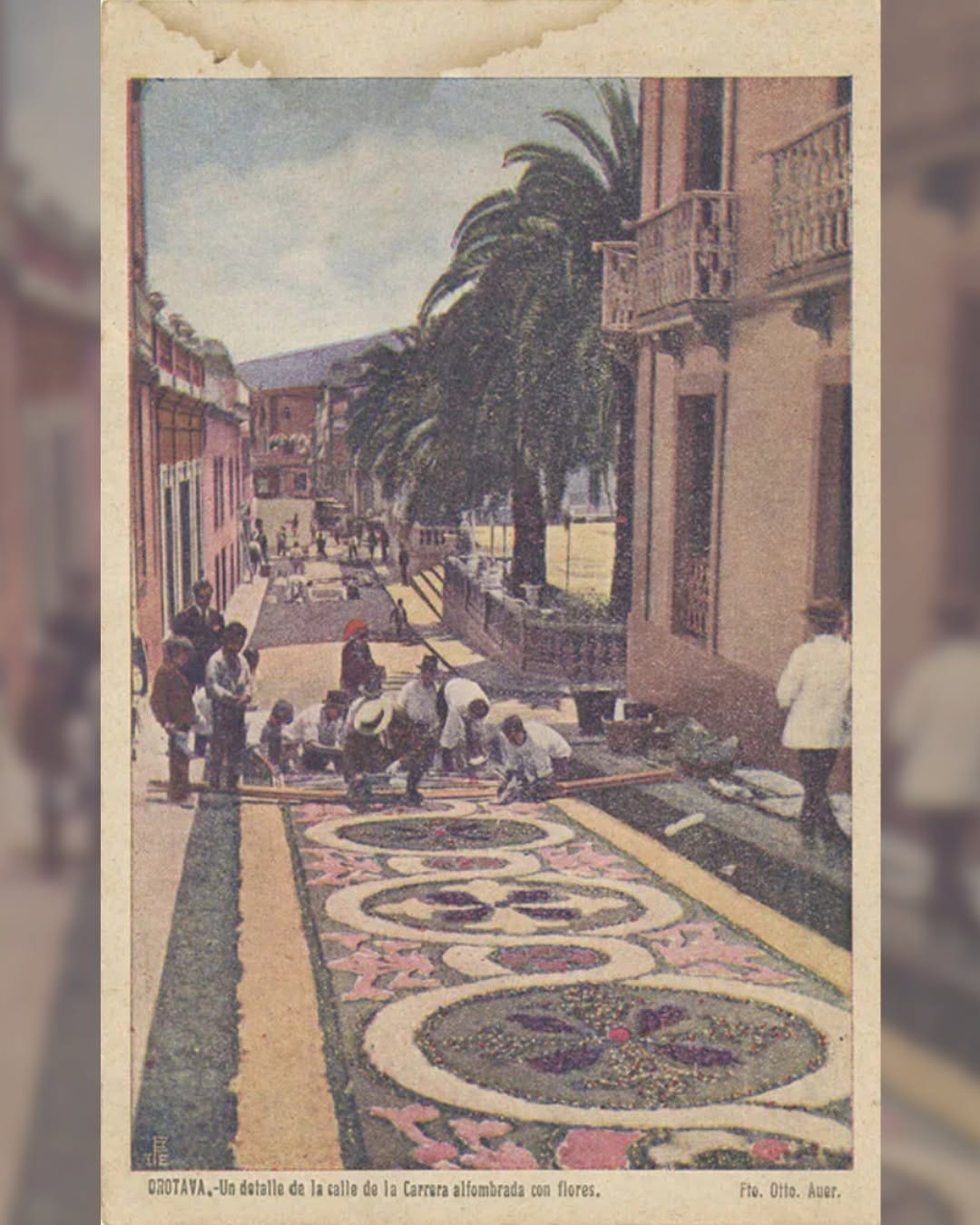 Post 1 by Museos de Tenerife on Instagram (image)