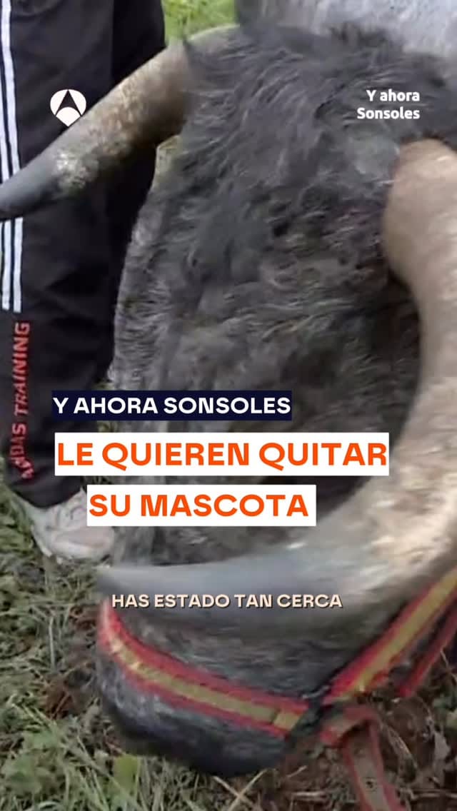 Post 9 by Pablo Muñiz on Instagram (video)