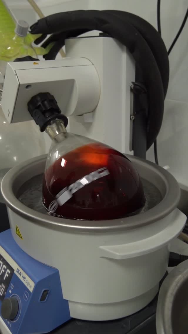 Post 7 by Paradiso Lab on Instagram (video)