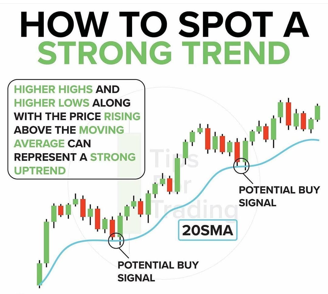 Post 9 by Follow the trend on Instagram (image)