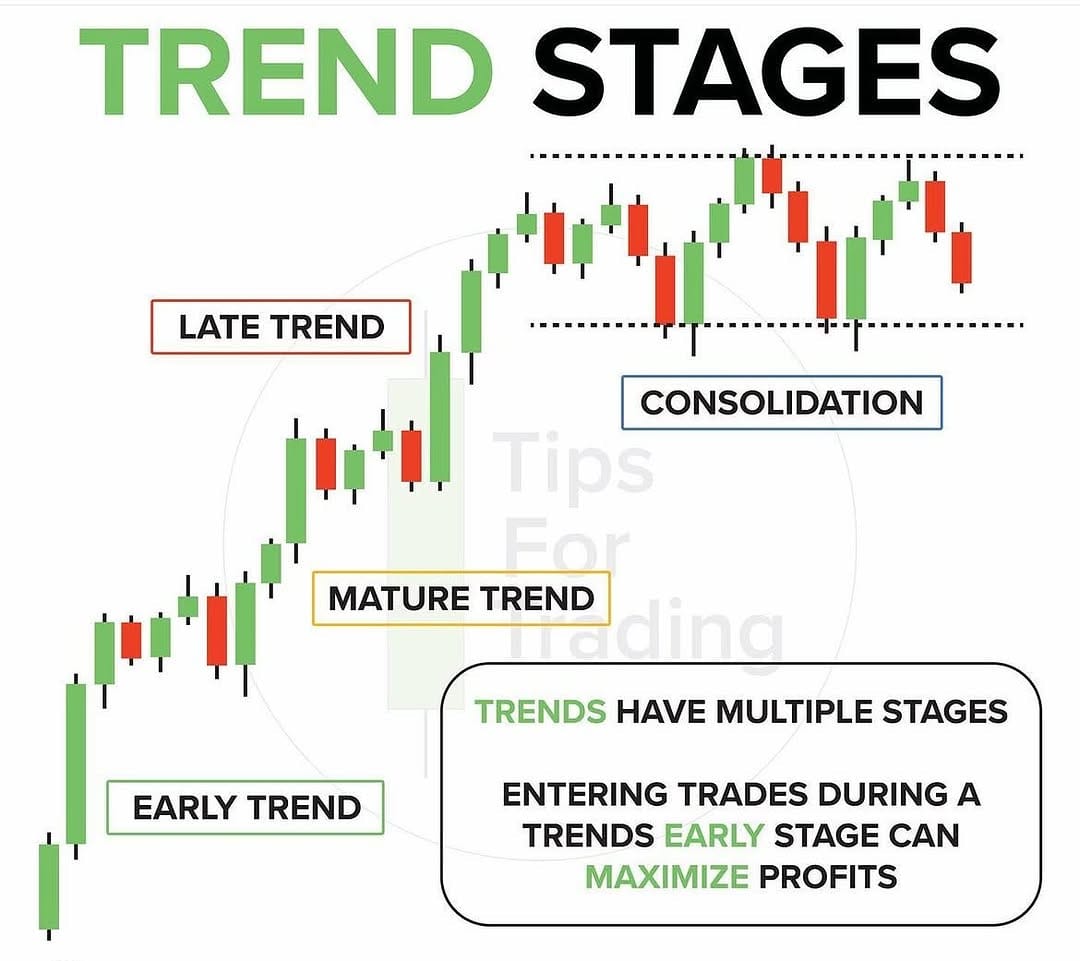 Post 10 by Follow the trend on Instagram (image)