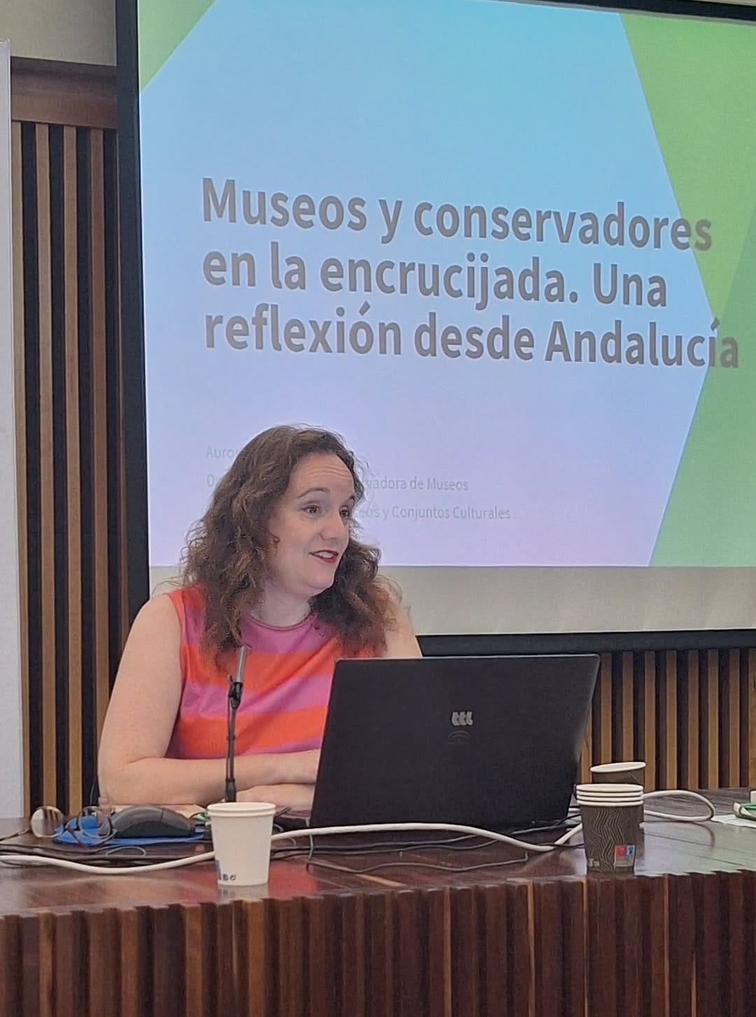 Post 9 by IAPH Instituto Andaluz del Patrimonio Histórico on Instagram (image)