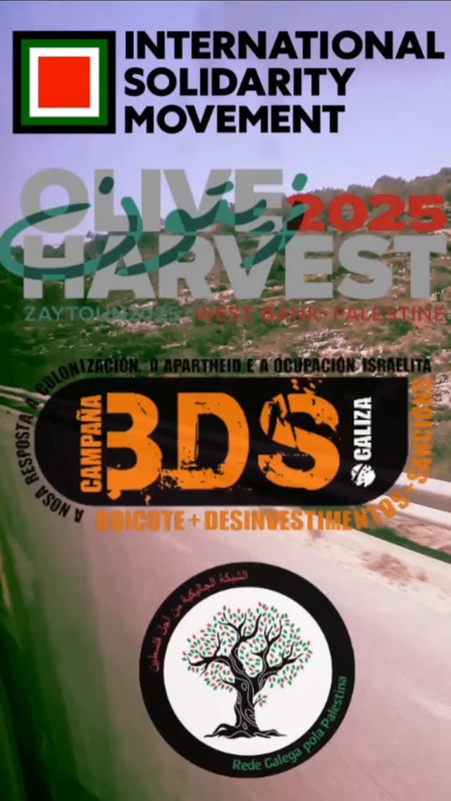 Post 9 by BDSGaliza on Instagram (video)