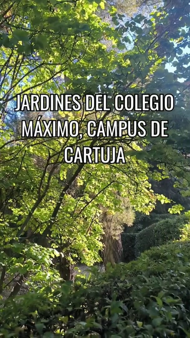 Post 2 by Patrimonio UGR on Instagram (video)