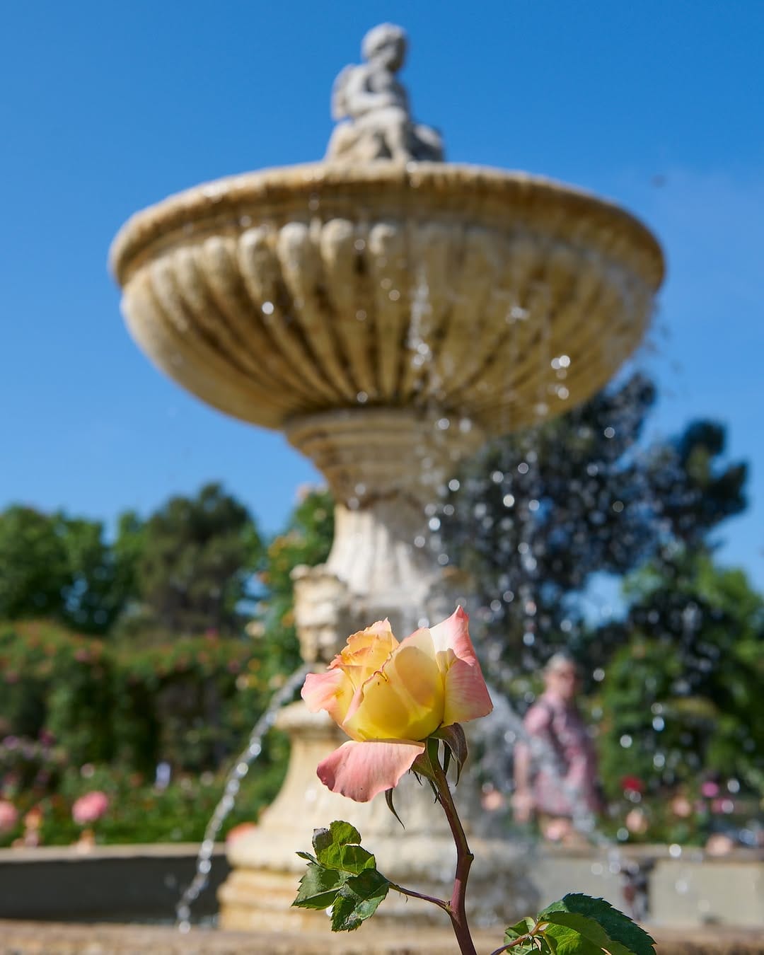 Post 7 by Parque del Retiro on Instagram (image)